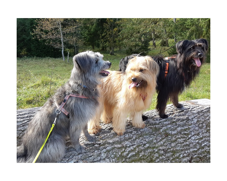 Im Herbst 2019 (16)